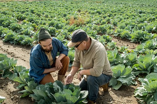 Organic Vegetable Farm Manager Apprenticeship