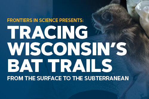 Tracing Wisconsin's Bat Trails