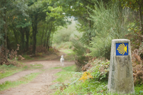 Global Spotlight: Life Lessons from the Camino de Santiago