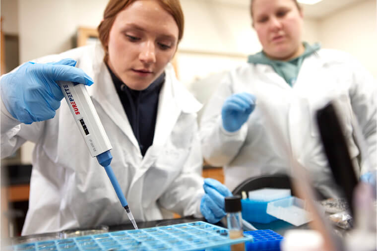 Lab science students look at sample under microscope