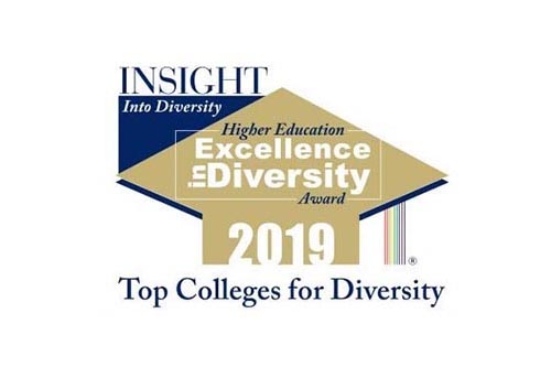 2019 Higher Education Excellence in Diversity Award